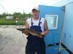  ,   Sergei, 39 ,   ,   , c 