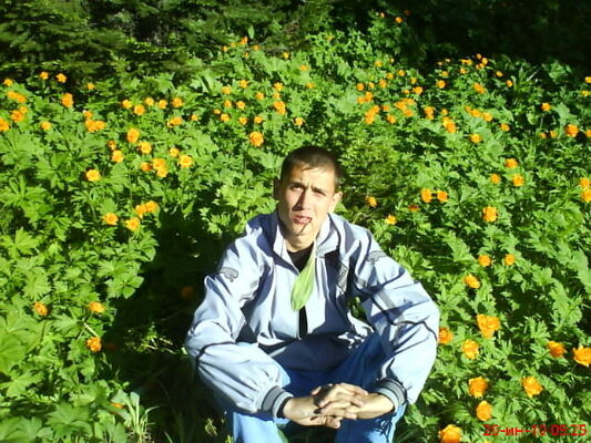  ,   , 41 ,   ,   , c 