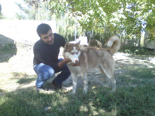  ,   Badri, 46 ,   