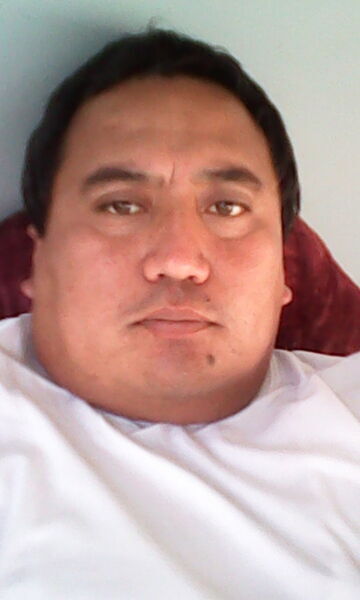  ,   , 44 ,   