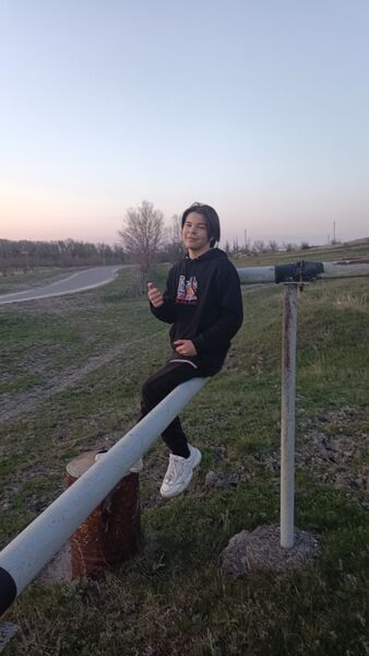  ,   German, 22 ,   ,   