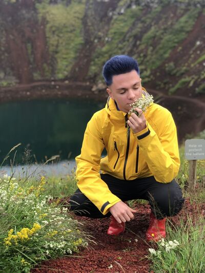  ,   , 24 ,  