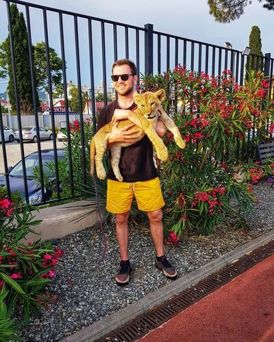  ,   , 29 ,   ,   , c 