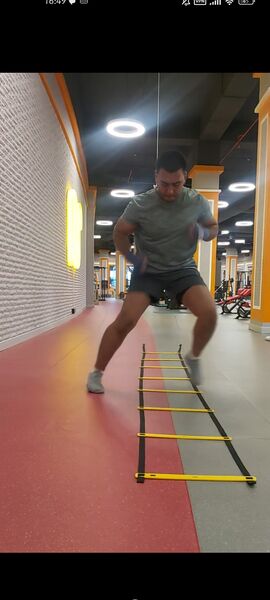  ,   Ali, 31 ,   ,   