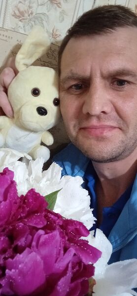  ,   , 41 ,   ,   , c , 