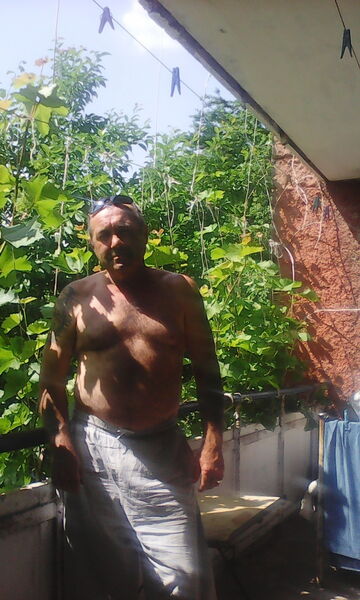  ,   , 62 ,   ,   , c 