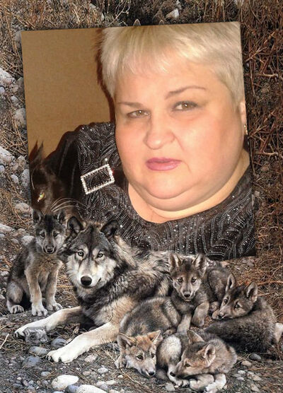  ,   , 57 ,  