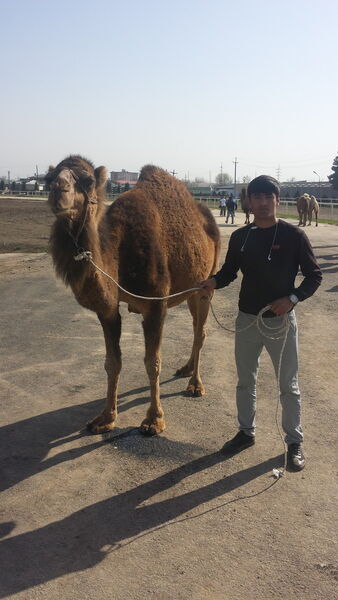  ,   , 27 ,   ,   , c , 