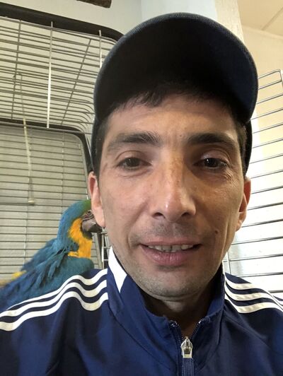 ,   Rafayel, 42 ,   ,   , c 