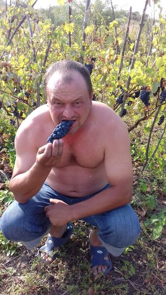  ,   Petru efros, 43 ,   ,   , c 