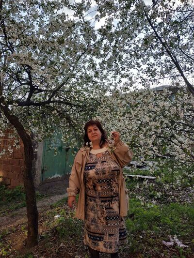   ,   , 55 ,   