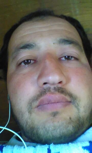  -,   , 37 ,   ,   , c , 