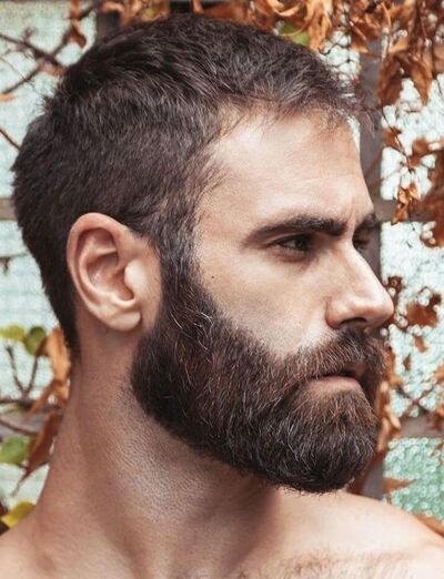  ,   Maxim, 36 ,   ,   