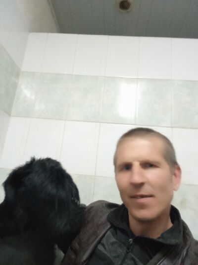  ,   , 38 ,   c 