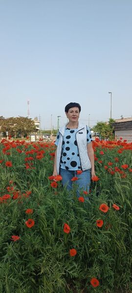  ,   , 56 ,   c 