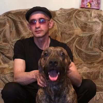  ,   , 53 ,   