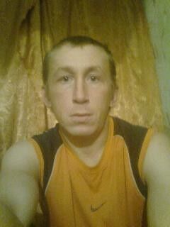  4309161  , 43 ,    
