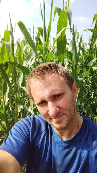 ���������� ����������, ���� ������� ����������, 43 ����, ������������ ��� ������, c�������� ���������, ���������