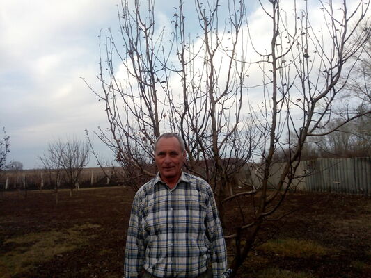  ,   , 63 ,   c 