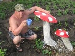  4361421  , 57 ,    