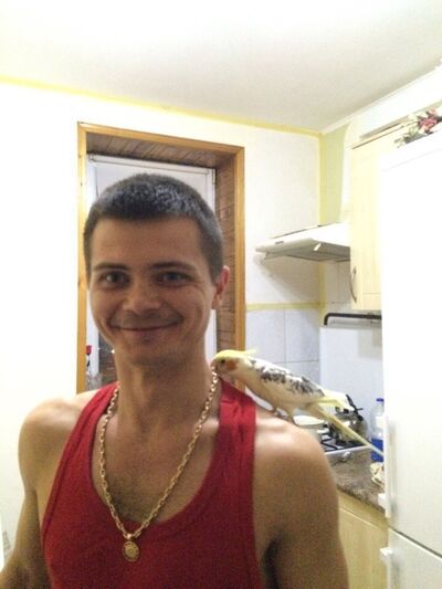  ,   , 41 ,   ,   , c 