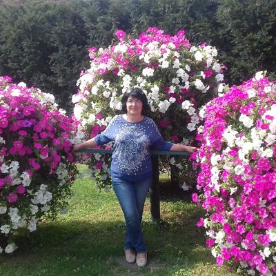  ,   , 63 ,     , c 