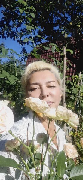  ,   , 55 ,   ,   , c , 