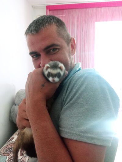  ,   , 43 ,   ,   