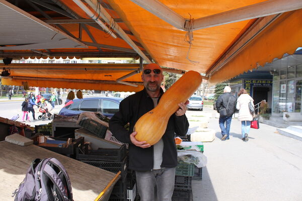  ,   Zanoza, 61 ,  