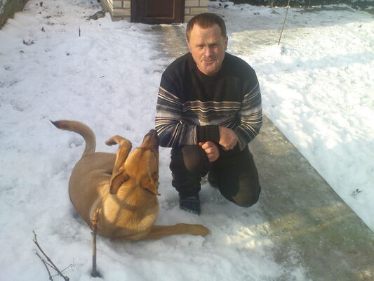   ,   , 61 ,   ,   , c 