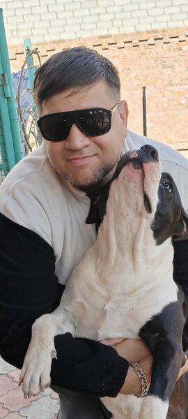  ,   Timur, 46 ,   ,   , c 