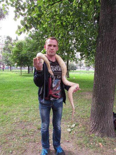  ,   Vladimir, 46 ,   ,   , c 