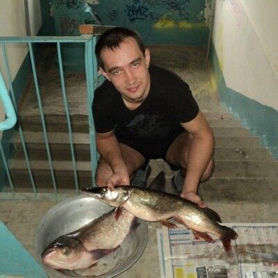  ,   Ant, 36 ,   ,   , c 