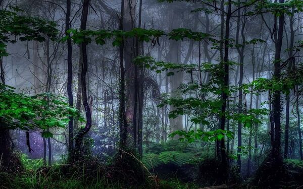  ,   Gennadij, 46 ,   ,   , c 