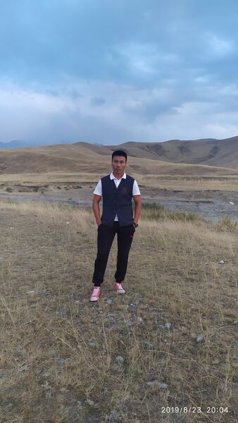  -,   , 38 ,   ,   , c 