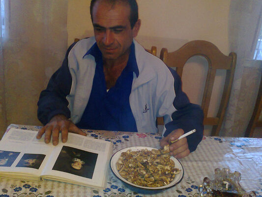  ,   Wigen, 53 ,   