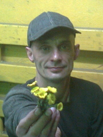  ,   , 56 ,  