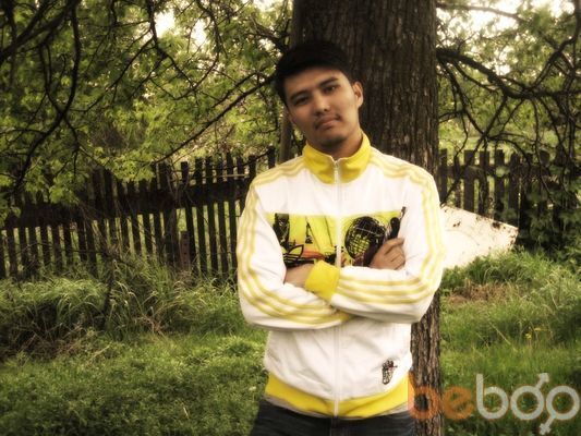 ���������� ������, ���� ������� ����, 33 ����, ������������ ��� ����� � ���������, c�������� ���������