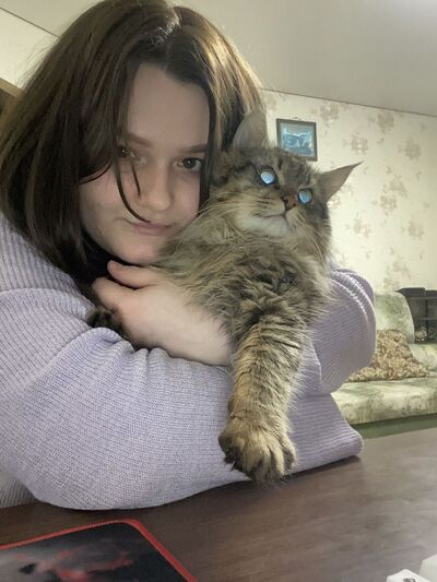  ,   , 23 ,     , c , 