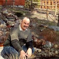  ,   , 59 ,   