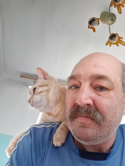  ,   , 58 ,   c 
