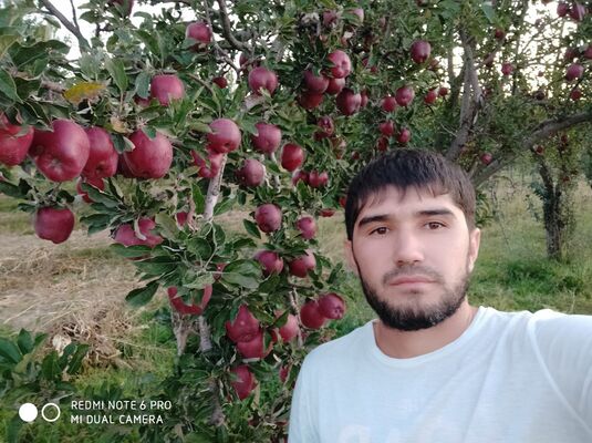  ,   Javohir, 34 ,     , c 
