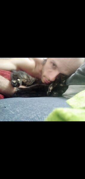  ,   Freestyler, 38 ,  