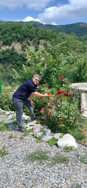  ,   Elman, 42 ,     , c 