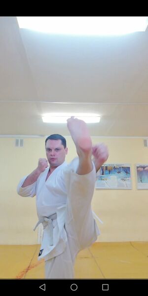  ,   Sergei weles, 40 ,   ,   , c 