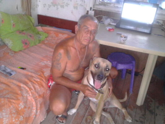  ,   , 62 ,     , c 