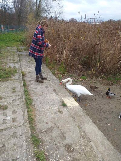  ,   , 45 ,     , c , 