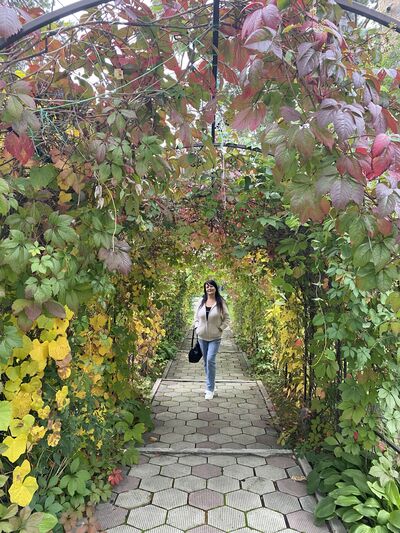  ,   , 55 ,   ,   , c 