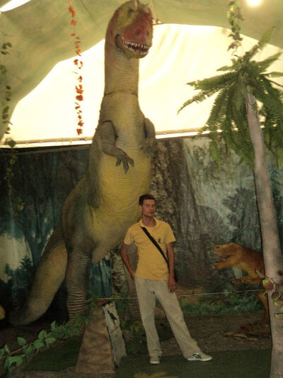  ,   , 45 ,   ,   , c 