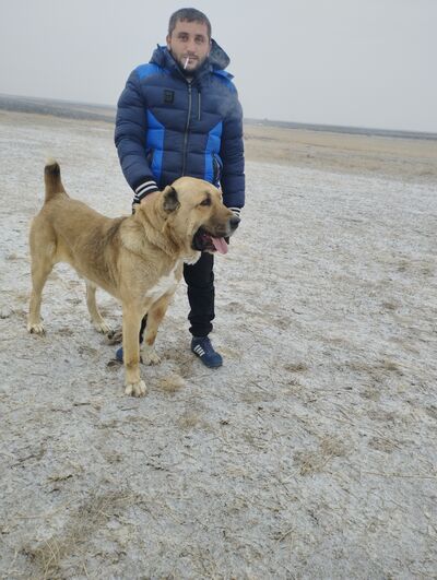  ,   Hrayr, 26 ,   ,   